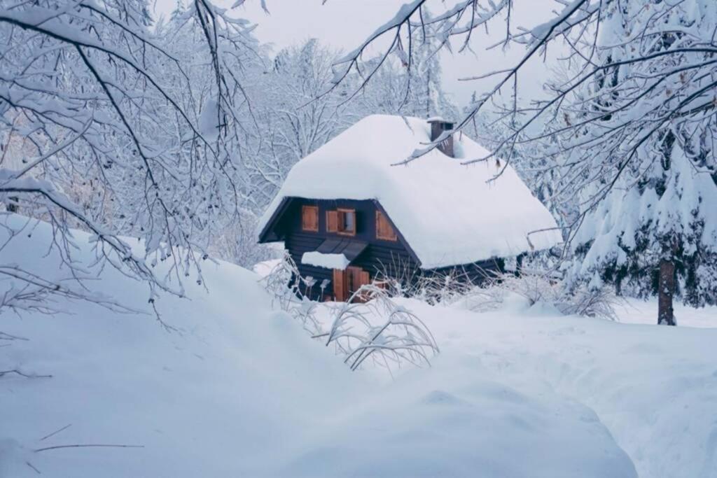 Cottage In The Woods - Lake Bohinj Eksteriør bilde